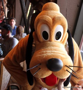 Pluto at Ohana